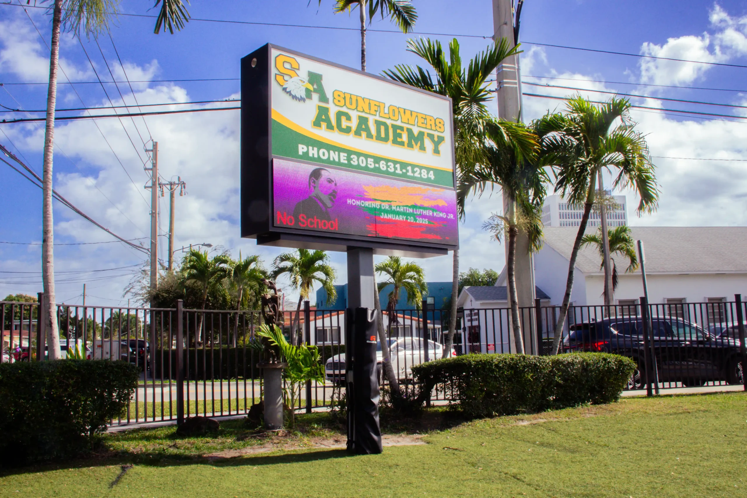 SUNFLOWERS ACADEMY 3